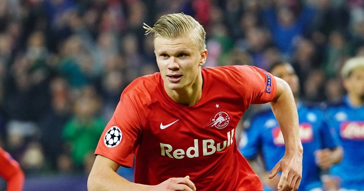 采用个体化 采用个体化